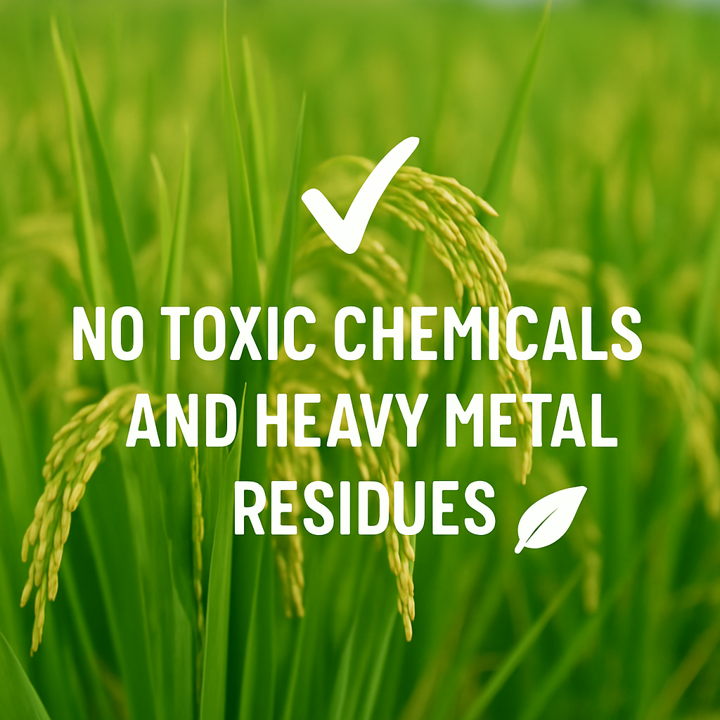restorice project no chemicals  heavy mental