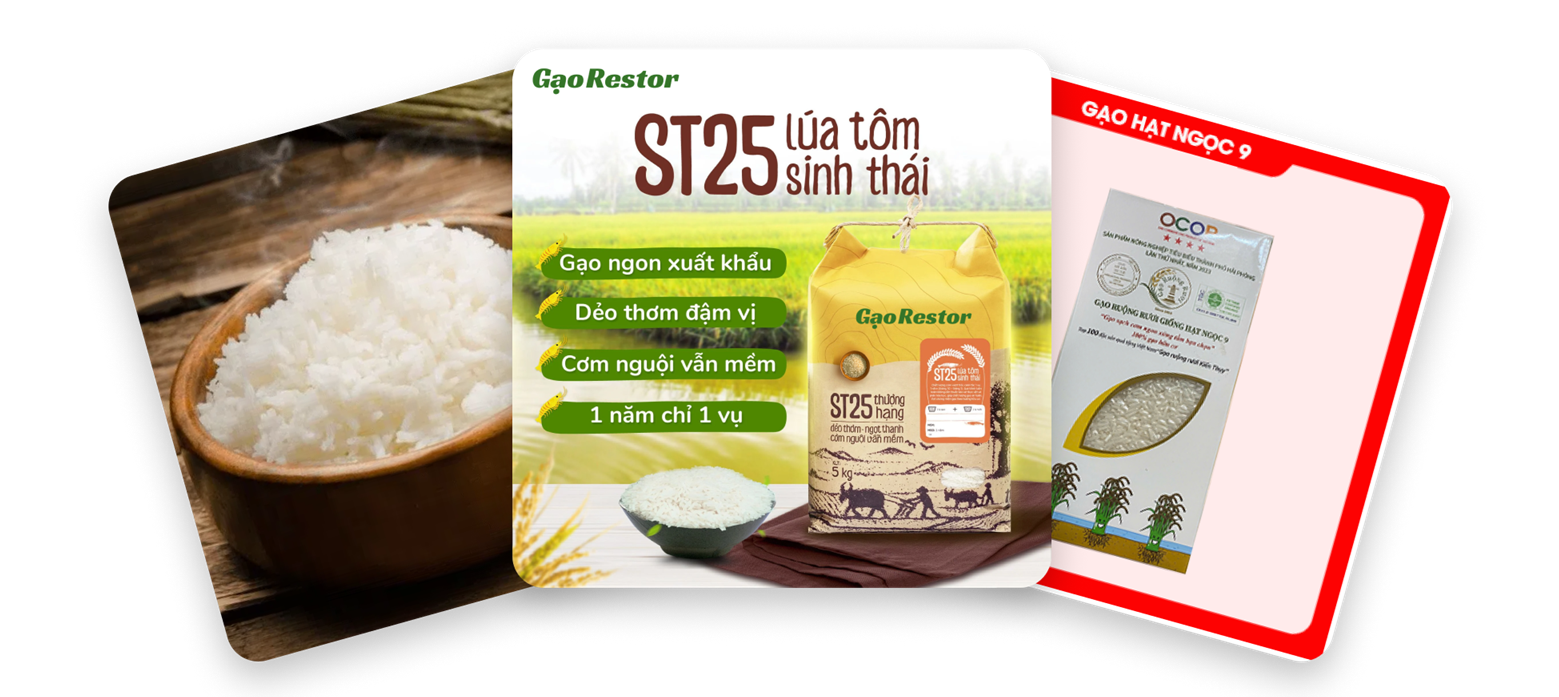 riceforfood